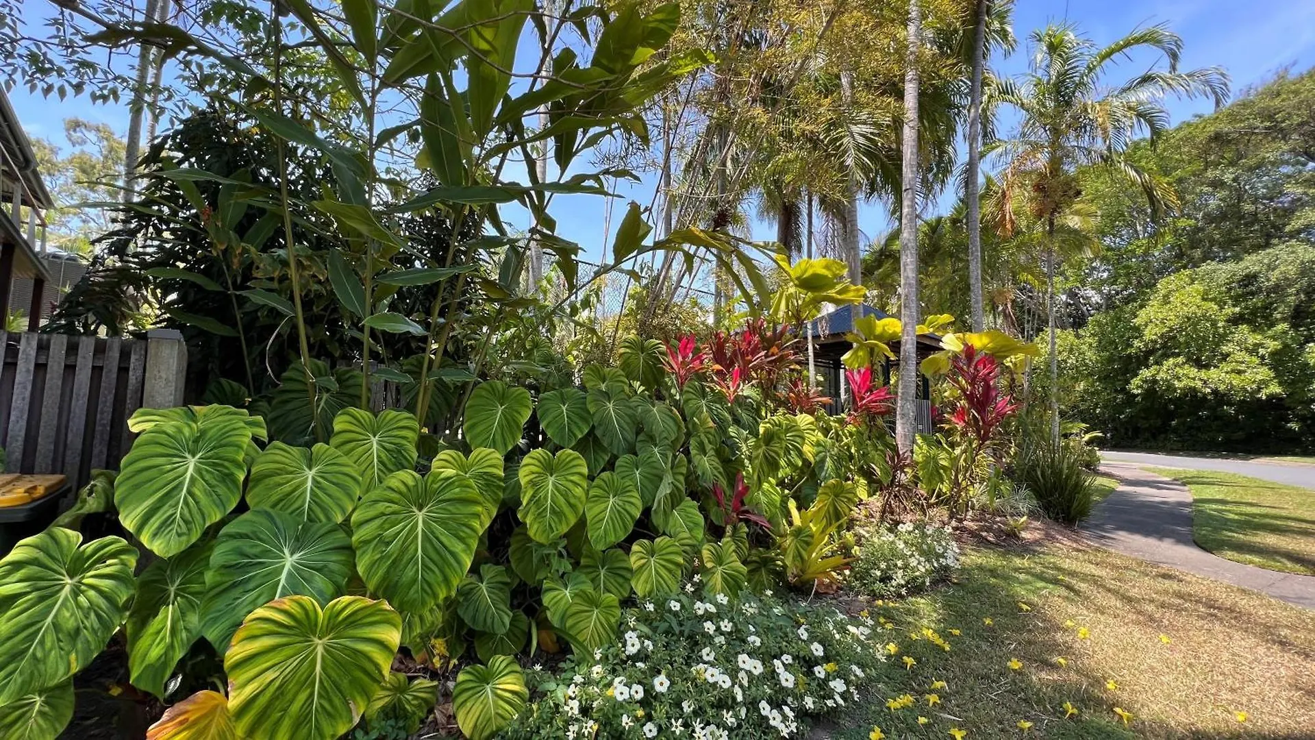 Holiday home Allawah Port Douglas Australia